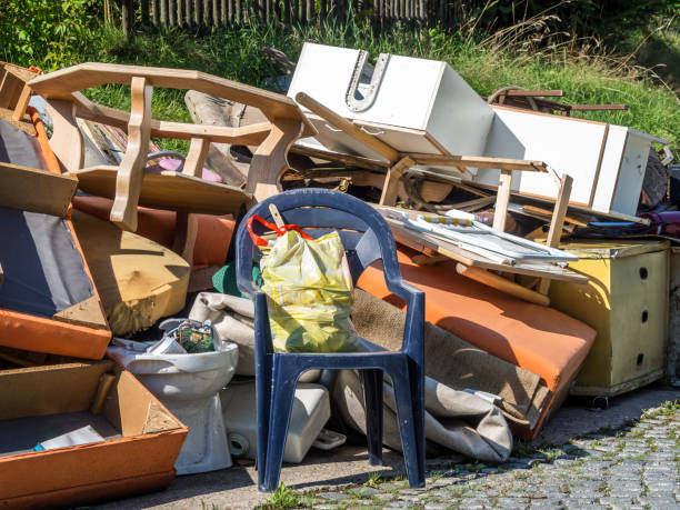 Best Basement Cleanout  in Zellwood, FL